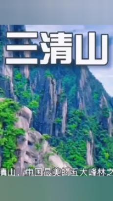 为什么绿萝的水会变黄？